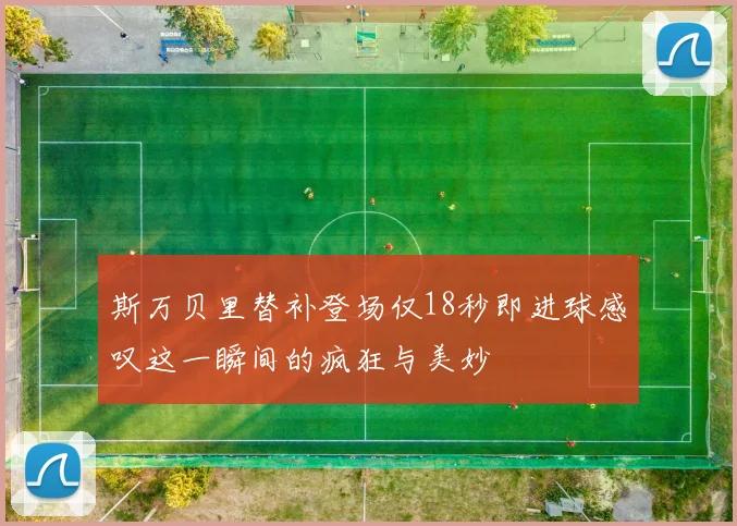 斯万贝里替补登场仅18秒即进球感叹这一瞬间的疯狂与美妙